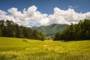 Beautiful meadow in Cades Cove Smoky Mountains