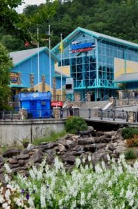 Ripley's Aquarium of the Smokies in Gatlinburg attraction