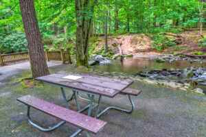 picnic table in the smoky mountains